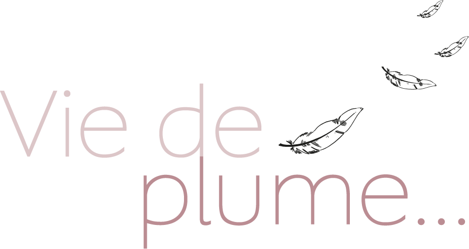 logo rose Vie de Plume Home Organising